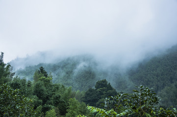 适合小学生读的课外书有哪些?
